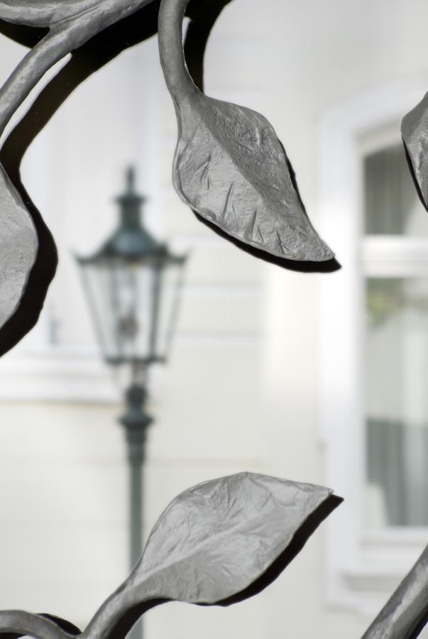 Hotel Am Hofgarten Ντίσελντορφ Εξωτερικό φωτογραφία